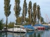 bodenseegeln (30)