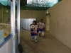 Eishockeygruempeli_036