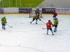 Eishockeygruempeli_082