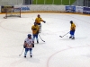 Eishockeygruempeli_084