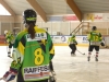 rsfc_on_ice (40)